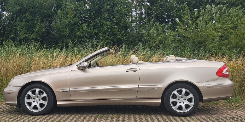 A209