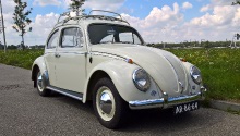 for sale VW Beetle